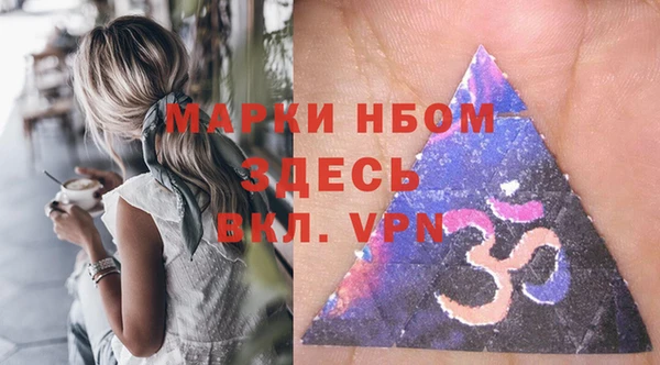 СК Богородск