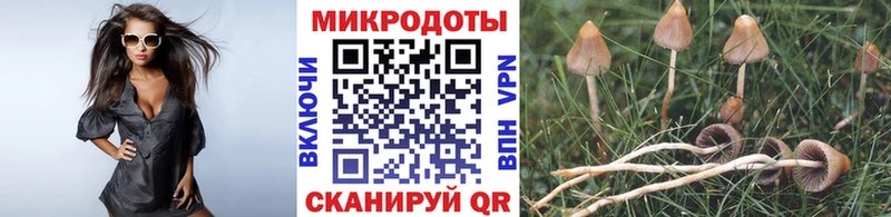 Псилоцибиновые грибы Cubensis Котельники